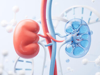 Chronic Kidney Disease