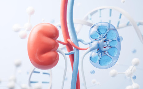 Chronic Kidney Disease