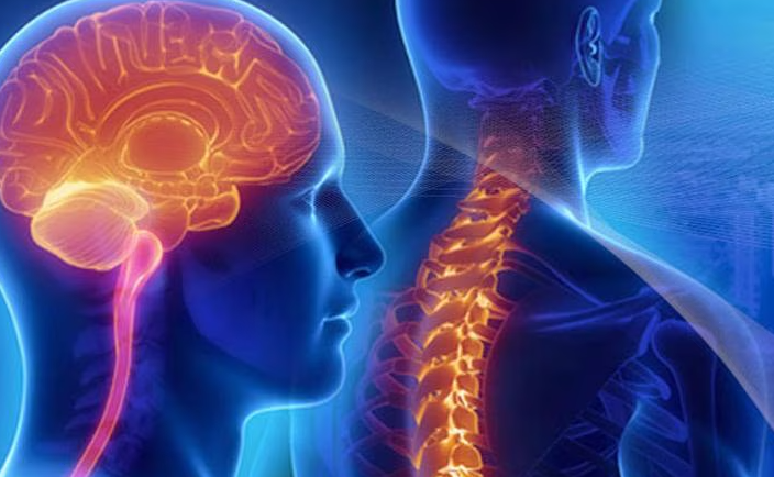 How to Protect Your Spine and Brain Health Naturally | Tips & Remedies